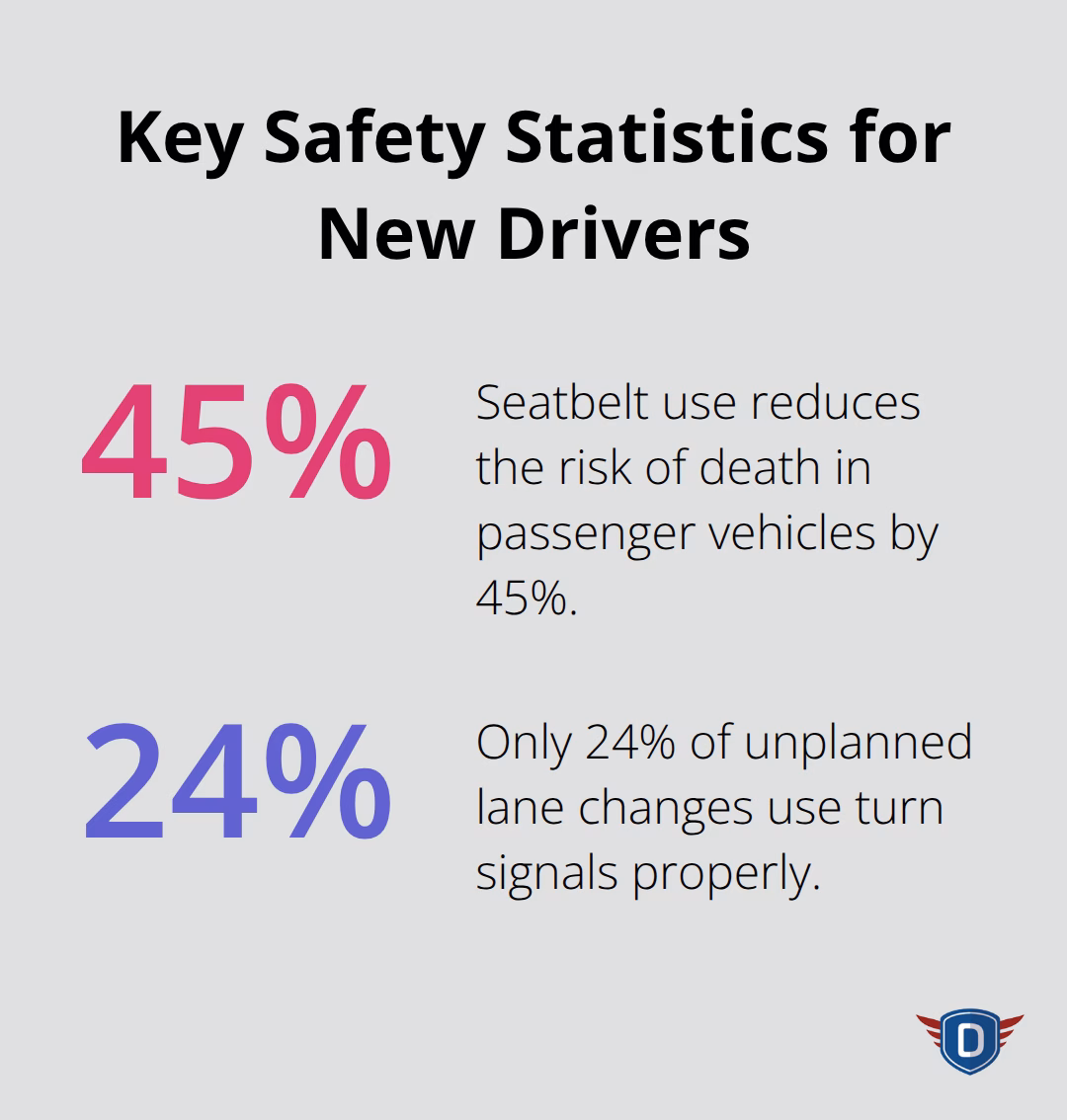 Two key safety statistics relevant to first driving lessons in the United States. - first driving lesson basics